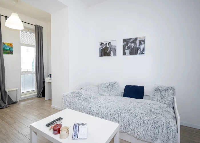 Pronájem bytu 1+kk, ulice Mečislavova, Praha - Nusle