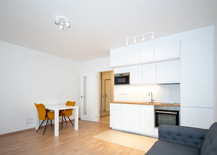 Pronájem bytu 1+kk, ulice Olgy Havlové 2916/44, Praha - Žižkov