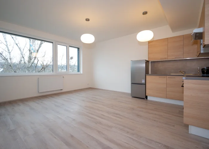 Pronájem bytu 2+kk, 48 m², nezařízený,  Praha - Holešovice