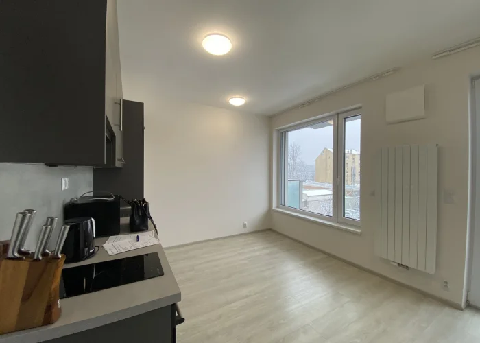 Pronájem bytu 1+kk/B, 33 m2, zařízený/nezařízený, Praha 7 - Holešovice