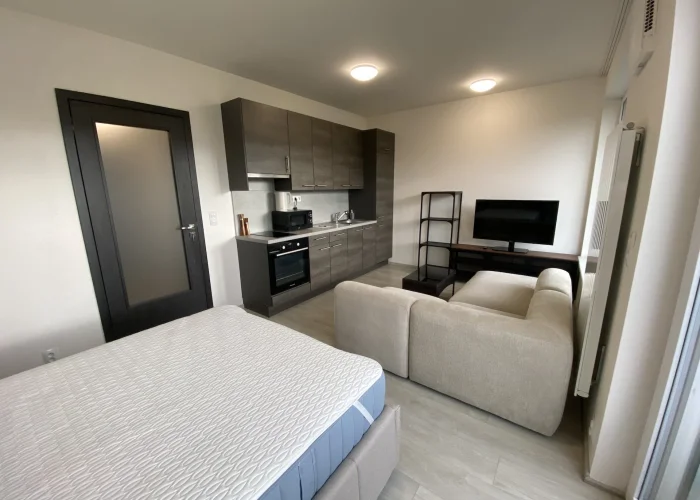 Pronájem bytu 1+kk/B, 33 m2, zařízený/nezařízený, Praha 7 - Holešovice