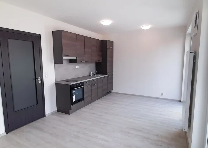Pronájem bytu 1+kk, 33m2 s balkonem