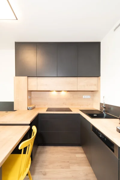 Pronájem bytu 2+kk 55 m², Praha - Libeň