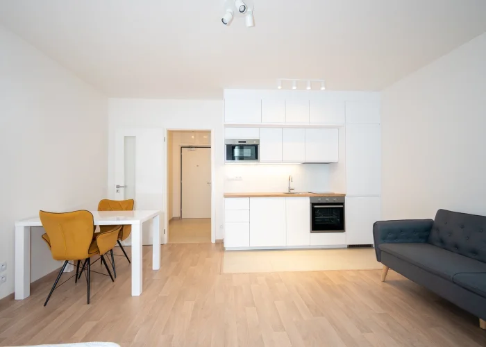 Pronájem bytu 1+kk, ulice Olgy Havlové 2916/44, Praha - Žižkov