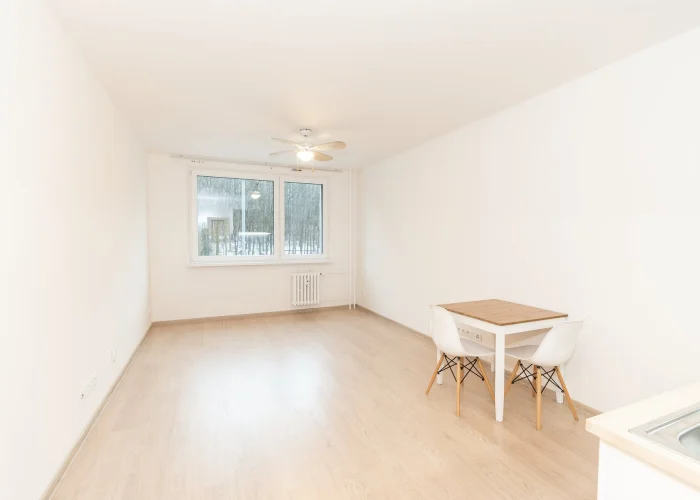 Pronájem bytu 1+kk 29 m², Praha - Hodkovičky