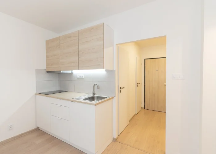 Pronájem bytu 1+kk 29 m², Praha - Hodkovičky