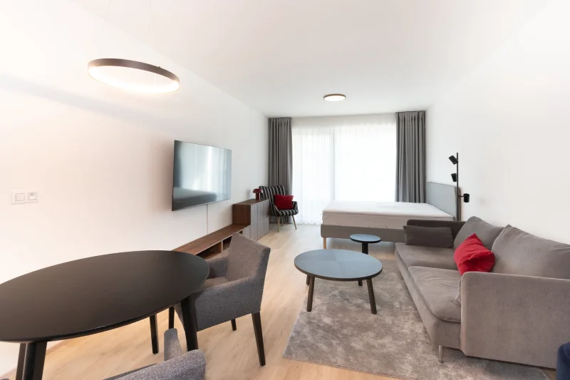 Pronájem bytu 1+kk 39 m², Praha - Žižkov