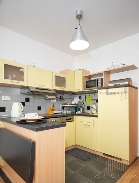 Pronájem bytu, 1kk, 47m2, s balkónem a garáží