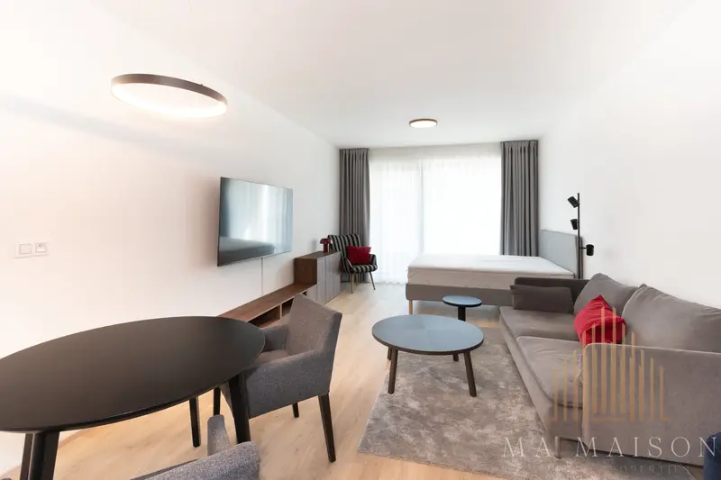 Pronájem bytu 1+kk 39 m², Praha - Žižkov