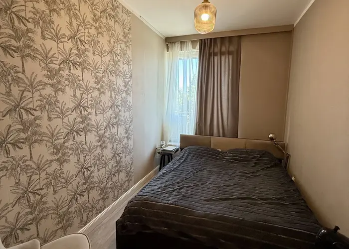 Pronájem bytu 2+kk 38 m², Praha - Žižkov