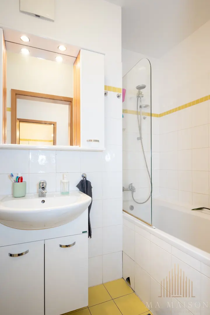 Pronájem bytu, 1kk, 47m2, s balkónem a garáží