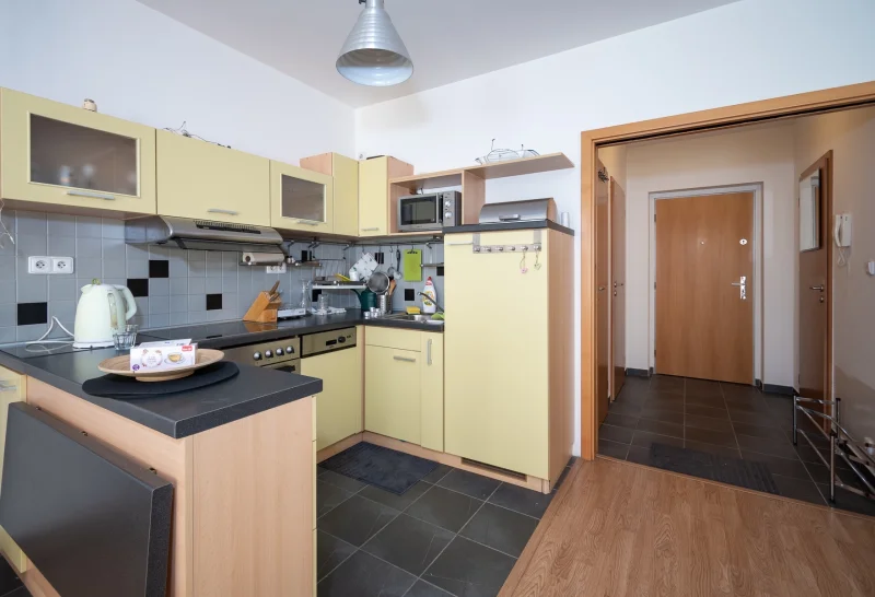 Pronájem bytu 1+kk, 47m2, s balkónem a garáží