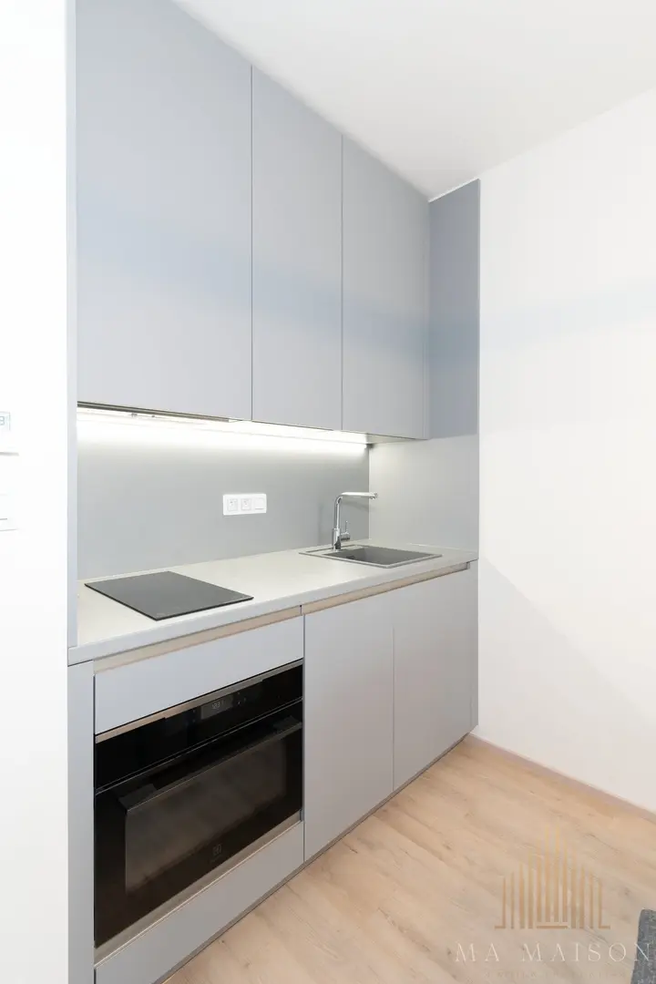 Pronájem bytu 1+kk 39 m², Praha - Žižkov