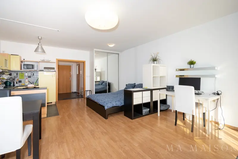 Pronájem bytu, 1kk, 47m2, s balkónem a garáží