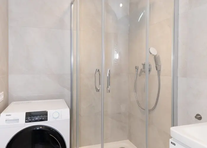 Pronájem bytu 1+kk 39 m², Praha - Žižkov