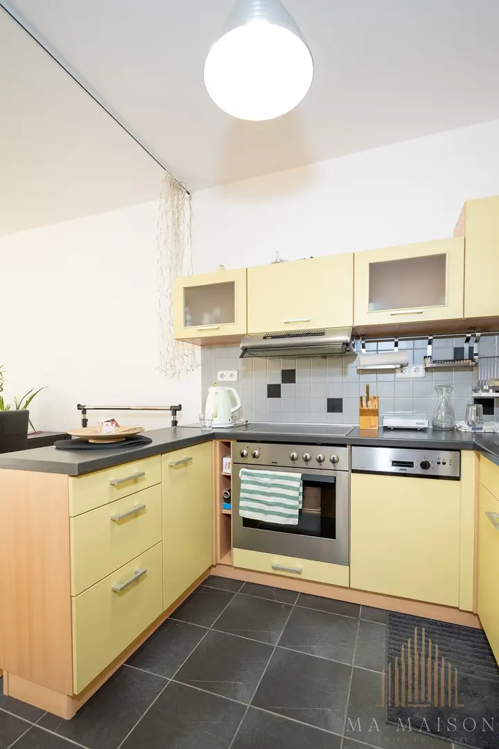 Pronájem bytu, 1kk, 47m2, s balkónem a garáží