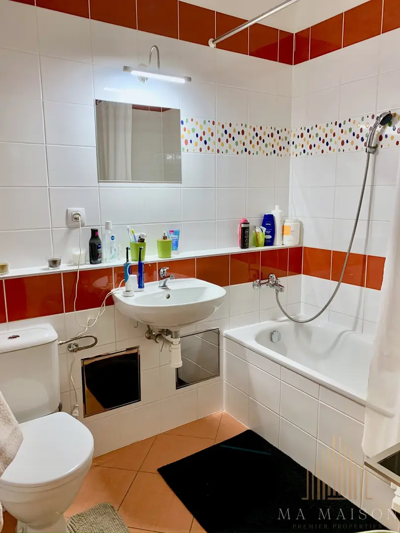 Pronájem Bytu 2+kk, 56m², terasa 81 m2, Nová Harfa